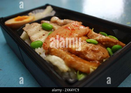 Scharfer Kabeljaurogen und Itoshima Schweinefleisch ekiben (駅弁), verkauft in der Hakata Station in Fukuoka, Japan Stockfoto