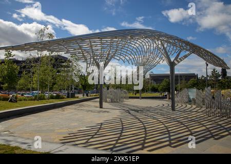 The Tay Whale Kunstwerk von Lee Simmons, Waterfront Place, Dundee, Schottland, Großbritannien an einem sonnigen Tag; Spiel von Licht und Schatten Stockfoto