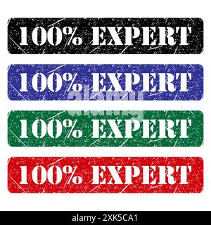 Satz von Expert 100% Stempelsymbol, Label Aufkleber Zeichen Taste, Text Banner Vektor Illustration . Stock Vektor