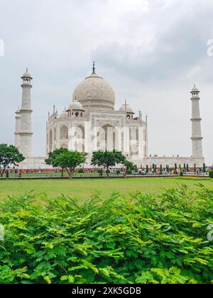 Das Taj Mahal in Agra/Indien Stockfoto