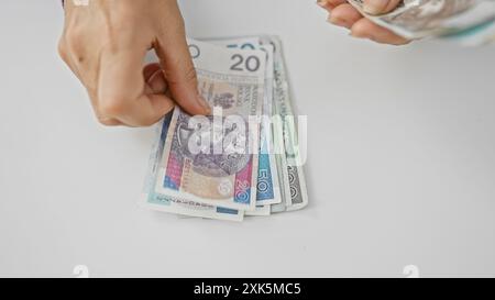 Erwachsene Frauen zählen polnische Zloty-Banknoten in einem Innenbüro, was auf Finanzen hindeutet. Stockfoto