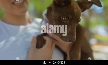 Eine Frau in einem Stadtpark hält ihren Hund an einem sonnigen Tag draußen. Stockfoto
