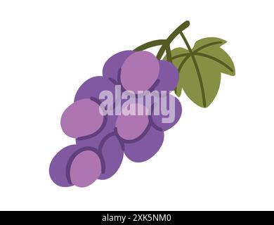 Violette Traube mit Stiel und Blatt. Vektorillustration isoliert auf weißem Hintergrund. Stock Vektor