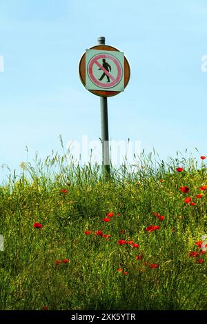 Fußgänger Sind Im Feld Der Roten Mohnblume Nicht Erlaubt Stockfoto
