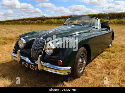 Klassisches Jaguar XK150 Coupé mit klappbarem Kopf aus dem Jahr 1960 im Feld geparkt. Stockfoto