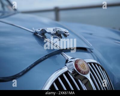 Minster on Sea, Kent, Großbritannien. Juli 2024. Das springende Jaguar Maskottchen auf einem Oldtimer-Jag auf der jährlichen Autoshow in Minster on Sea, Kent, organisiert von The Sweet Hut. Quelle: James Bell/Alamy Live News Stockfoto