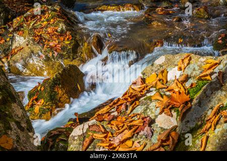 Nahaufnahme der Kaskaden des Rocky Fork Creek im Rocky Fork State Park, Tennessee. Stockfoto