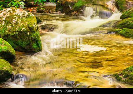 Nahaufnahme der Kaskaden des Rocky Fork Creek im Rocky Fork State Park, Tennessee. Stockfoto