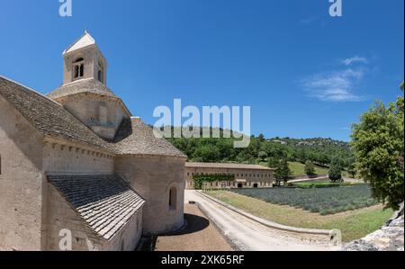 Abtei Notre-Dame de Senanque, in der Nähe des Dorfes Gordes im Departement Vaucluse in der Provence. Stockfoto