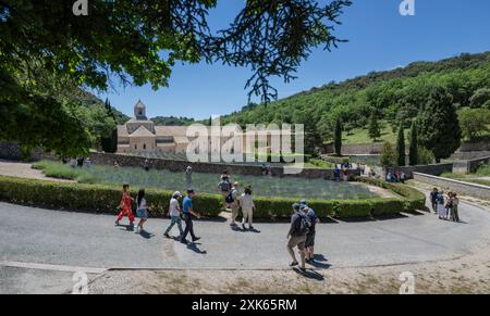 Abtei Notre-Dame de Senanque, in der Nähe des Dorfes Gordes im Departement Vaucluse in der Provence. Stockfoto