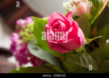 Nahaufnahme eines Blumenstraußes mit einer zierlichen magentafarbenen Rose. Stockfoto