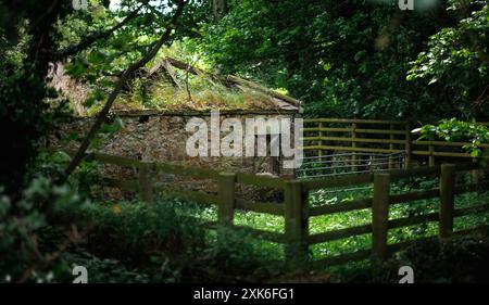 Bilder von Bamburgh, England und der ländlichen Landschaft in der Nähe des Dorfes. Stockfoto