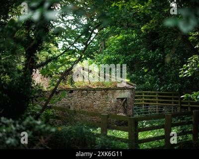Bilder von Bamburgh, England und der ländlichen Landschaft in der Nähe des Dorfes. Stockfoto