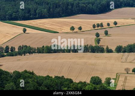 Luftaufnahme von landwirtschaftlichen Feldern, Baumreihen und Grünflächen, die die ländliche Natur zeigen. Stockfoto