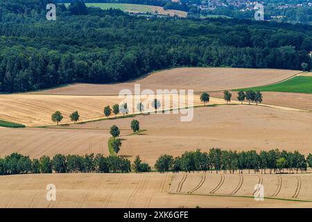 Luftaufnahme von landwirtschaftlichen Feldern, Baumreihen und Grünflächen, die die ländliche Natur zeigen. Stockfoto