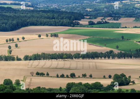 Luftaufnahme von landwirtschaftlichen Feldern, Baumreihen und Grünflächen, die die ländliche Natur zeigen. Stockfoto