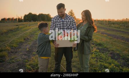 Glückliche gesunde kaukasische Familie kleiner Junge Sohn Kind Kind Frau Mutter Frau genießen Ernte Vater Farmer männlicher Mann Mann Mann Box frisch reifes Vitamin halten Stockfoto