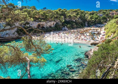 Beliebter Sandstrand mit türkisfarbenem Wasser in Cala Llombards auf Mallorca Stockfoto