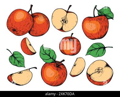 Farbenfrohe Skizze des Apfels. Die ganze Hälfte von Hand gezogen und die Früchte mit Blättern in Scheiben schneiden. Natürliches saftiges köstliches Produkt. Gesunde Ernährung. Sommerlandwirtschaft Bio-Ernte. Vektor-isolierte botanische Illustration Stock Vektor