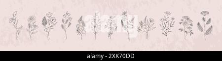 Strichblumen. Blumenkunstpflanzen, handgezeichneter Bouquet-Stil mit minimalem wilden Zweig, Boho-Tattoo-Blatt-Silhouette. Gartenkräuter, natürliche rustikale dekorative isolierte botanische Elemente. Vektorlogo Stock Vektor