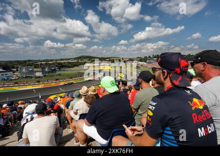 Mogyorod, Ungarn. Juli 2024. Formel 1 großer Preis von Ungarn in Hungaroring, Ungarn. Im Bild: Zuschauer auf der Tribüne, die das Rennen beobachten © Piotr Zajac/Alamy Live News Stockfoto