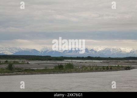 Blick auf und vom Denali Star Zug der Alaska Railroad von Anchorage zum Denali National Park Stockfoto