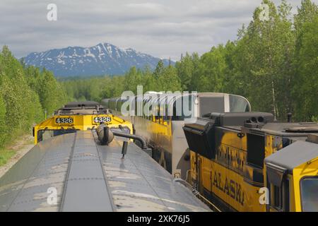 Blick auf und vom Denali Star Zug der Alaska Railroad von Anchorage zum Denali National Park Stockfoto