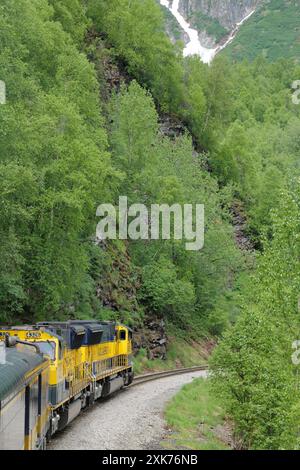 Blick auf und vom Denali Star Zug der Alaska Railroad von Anchorage zum Denali National Park Stockfoto