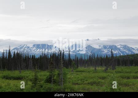 Blick auf und vom Denali Star Zug der Alaska Railroad von Anchorage zum Denali National Park Stockfoto