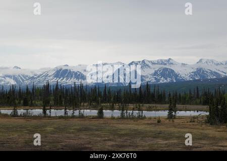 Blick auf und vom Denali Star Zug der Alaska Railroad von Anchorage zum Denali National Park Stockfoto