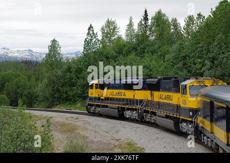 Blick auf und vom Denali Star Zug der Alaska Railroad von Anchorage zum Denali National Park Stockfoto