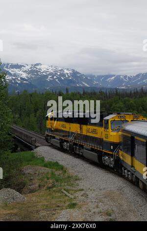 Blick auf und vom Denali Star Zug der Alaska Railroad von Anchorage zum Denali National Park Stockfoto