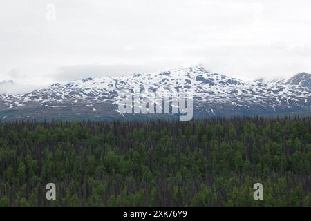 Blick auf und vom Denali Star Zug der Alaska Railroad von Anchorage zum Denali National Park Stockfoto