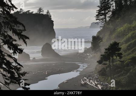 Ruby Beach, entlang der Pazifikküste des Highway 101 auf der Olympic Peninsula im Olympic National Park, Washington State Stockfoto