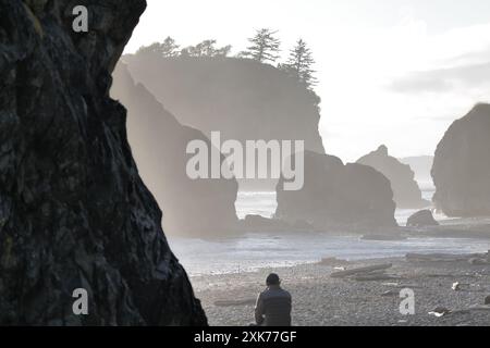 Ruby Beach, entlang der Pazifikküste des Highway 101 auf der Olympic Peninsula im Olympic National Park, Washington State Stockfoto