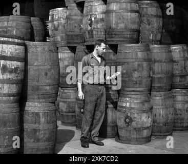 Stanley Hyams, Miteigentümer von Washington Pickle Works, hält zwei Gurken in einem Raum voller Fässer mit Dill Pickles, Roger Higgins, New York World-Telegram und The Sun Newspaper Photograph Collection, 1959 Stockfoto