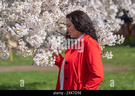 Romantisches Bild einer stilvollen Frau in rotem Mantel in weißer Bluse. Positive Stimmung. Ein süßes Mädchen hält sanft einen Zweig weißen Sakura und schaut sich das an Stockfoto