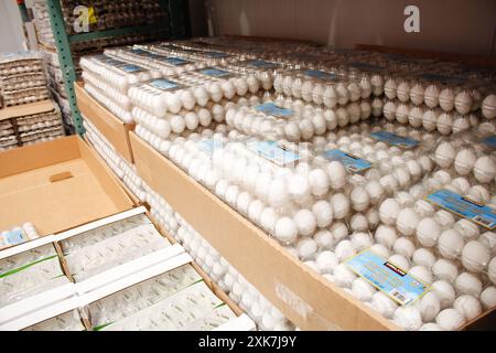 Los Angeles, Kalifornien, Vereinigte Staaten - 04-06-2021: Eine Ansicht mehrerer Pakete von Kirkland Signature Käfigeiern, bei Costco. Stockfoto