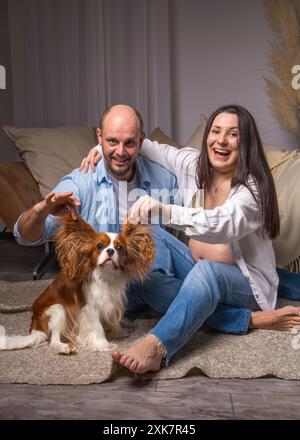 Eine Familie, die ein Baby erwartet, hat Spaß mit ihrem Hund, einem Cocker Spaniel. Sie lachen und spielen fröhlich. Kavalier König Charles Cocker Spaniel. Hundeohren i Stockfoto