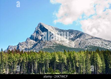 Sommerliche Landschaft mit Blick auf den Krivan in den Bergen der Hohen Tatra, Slowakei Stockfoto