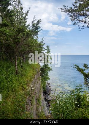 Im Robert G. Wehle State Park in New York bietet ein atemberaubender Blick über den Lake Ontario majestätische Bäume, die auf einer Klippe hoch über dem glitzernden W thronen Stockfoto
