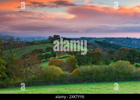 Herbst Sonnenaufgang über Felder in der Nähe von Exeter. Devon. Südwest-England. Europa Stockfoto