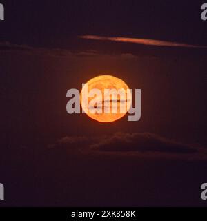 Bramshaw, Hampshire, England, Vereinigtes Königreich, 21. Juli, 2024. Vollmond steigt über den Baumkronen des New Forest auf. Stockfoto