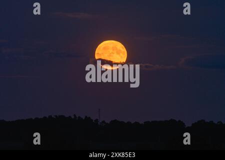 Bramshaw, Hampshire, England, Vereinigtes Königreich, 21. Juli, 2024. Vollmond steigt über den Baumkronen des New Forest auf. Stockfoto