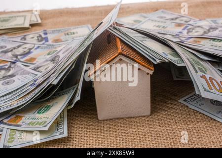 Musterhaus fällt unter Banknoten von US-Dollar Stockfoto