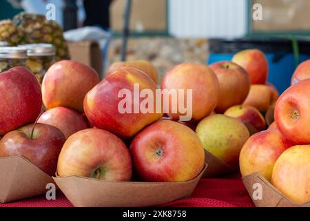 Ein Stapel oder Großvorrat großer roter, reifer Fuji-Äpfel auf einem Tisch zum Verkauf auf einem Bauernmarkt. Die Äpfel werden in Kartonschalen verkauft. Stockfoto