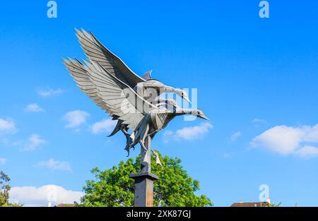 Die Mallard-Skulptur des lokalen Bildhauers Walenty Pytel on the River Walk by the River Wye in Ross-on-Wye, einer Marktstadt in Herefordshire Stockfoto