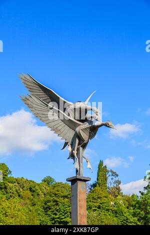 Die Mallard-Skulptur des lokalen Bildhauers Walenty Pytel on the River Walk by the River Wye in Ross-on-Wye, einer Marktstadt in Herefordshire Stockfoto