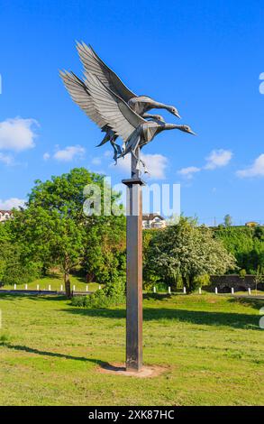 Die Mallard-Skulptur des lokalen Bildhauers Walenty Pytel on the River Walk by the River Wye in Ross-on-Wye, einer Marktstadt in Herefordshire Stockfoto