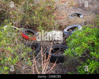 Ausrangierte Reifen in verschiedenen Farben, einschließlich Rot und Schwarz, sind in dichten Büschen in einem trockenen, bewachsenen Gebiet verstreut, was Umweltmüll und Verschmutzungen hervorhebt. Stockfoto